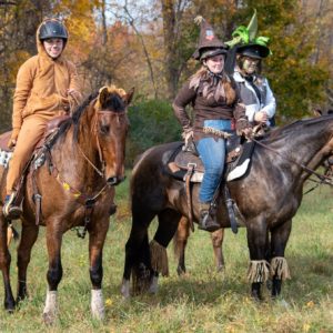 Newtown Bridle & Trails