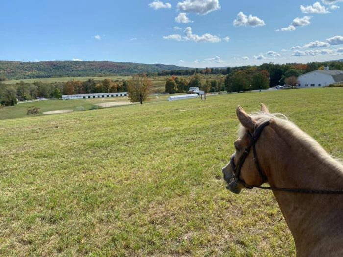 Eastern Hudson Valley Horse Council
