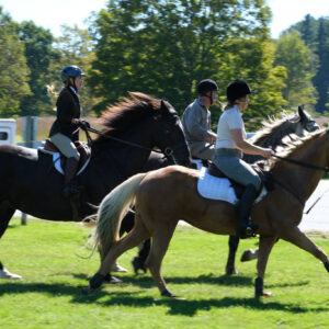 Lewisboro Horsemen's Association Fall country Pace