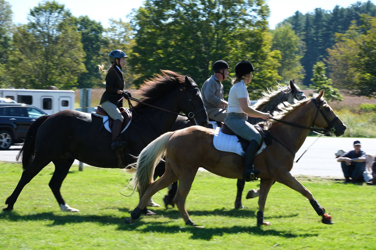 Lewisboro Horsemen's Association Fall country Pace