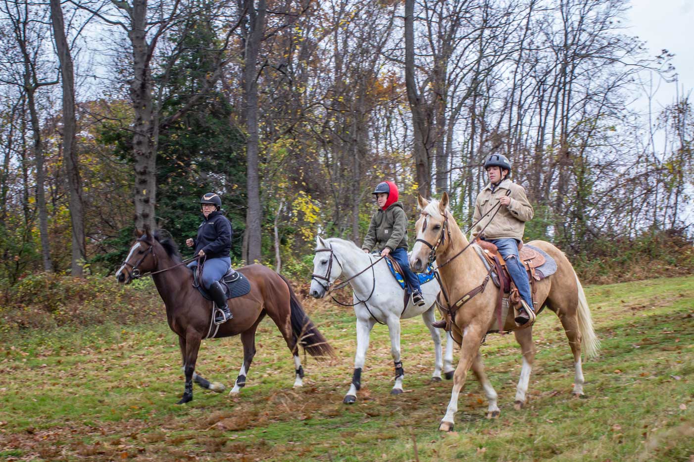Three riders on horseback in Rockefeller State Park, New York